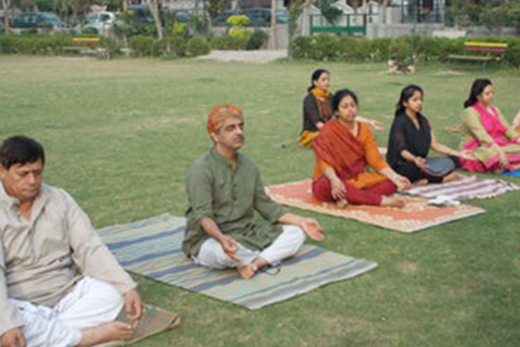 saptrashmi yoga training & retreat101576303978.jpg