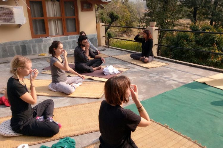 saptrashmi yoga training & retreat311576303981.jpg