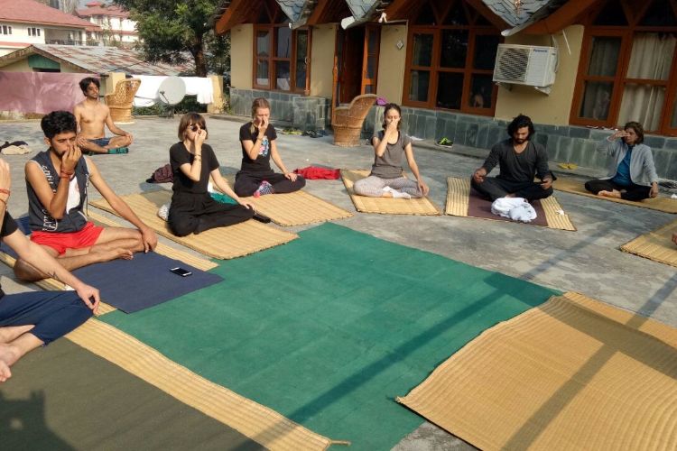 saptrashmi yoga training & retreat321576303981.jpg