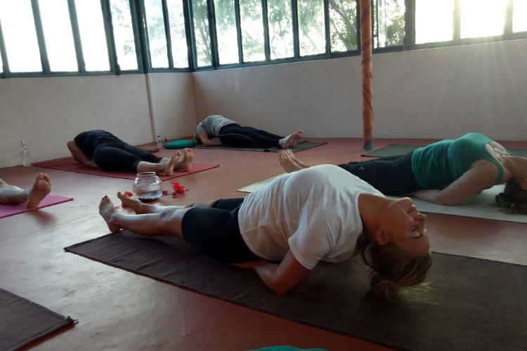 saptrashmi yoga training & retreat361576303982.jpg