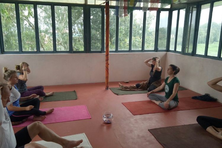 saptrashmi yoga training & retreat371576303982.jpg