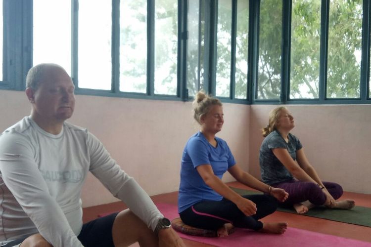 saptrashmi yoga training & retreat381576303982.jpg