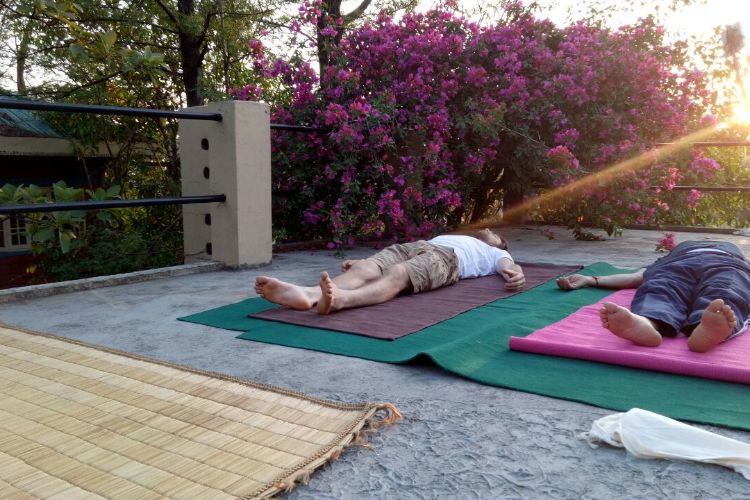 saptrashmi yoga training & retreat401576303983.jpg