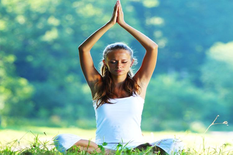 saptrashmi yoga training & retreat41576303977.jpg