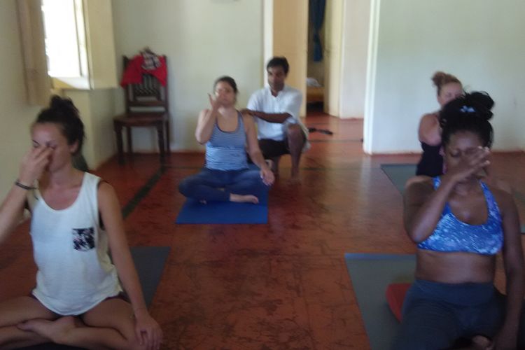 saptrashmi yoga training & retreat91576303978.jpg