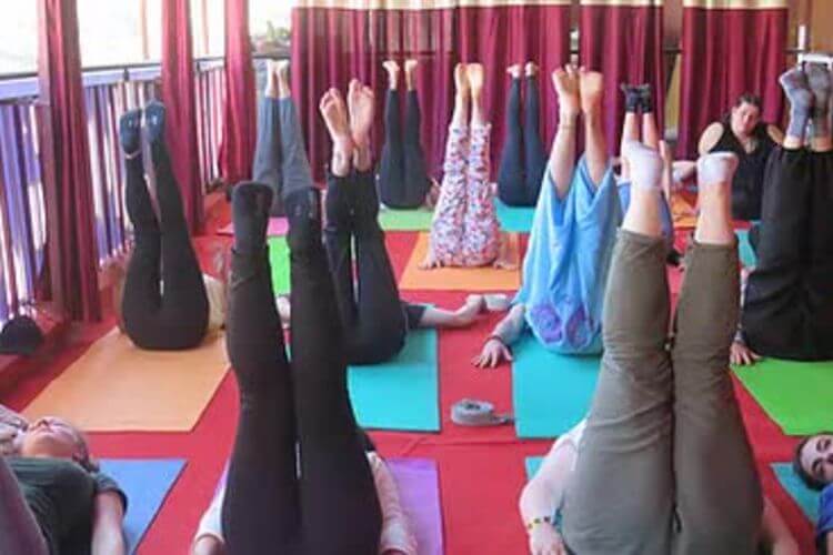 om yoga ashram (34)1616049419.jpg