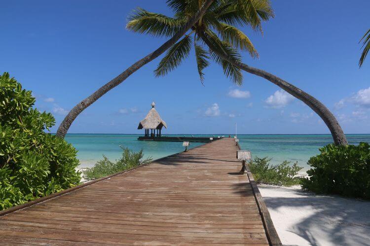 canareef resort maldives (15)1617258991.jpg