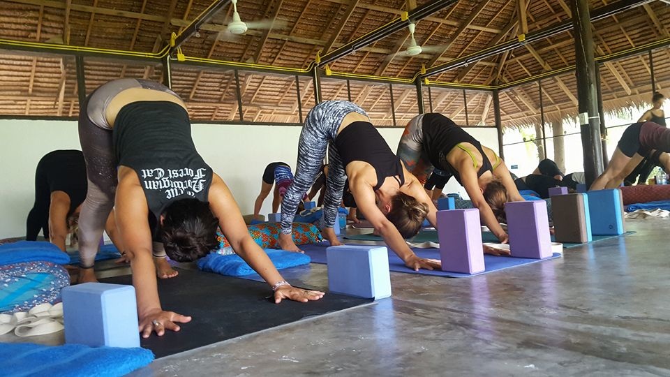 200-hrs alignment & intro to therapeutic yoga ttc at luna alignment koh phangan, thailand000091515623716.jpg