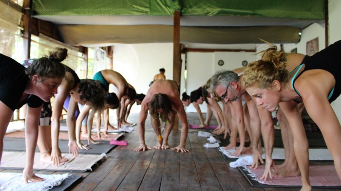 5 day detox & yoga retreat at the yoga retreat koh phangan, thailand111522150152.jpg