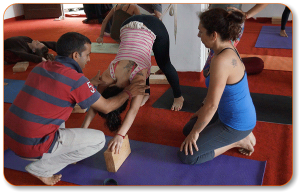 28 days 200 hrs yoga teacher training at mahi yoga center dharamsala, india131522835405.png