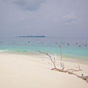 7 nights and 8 days yoga & diving holiday at island spa retreat maalhos, maldives371525950908.jpg