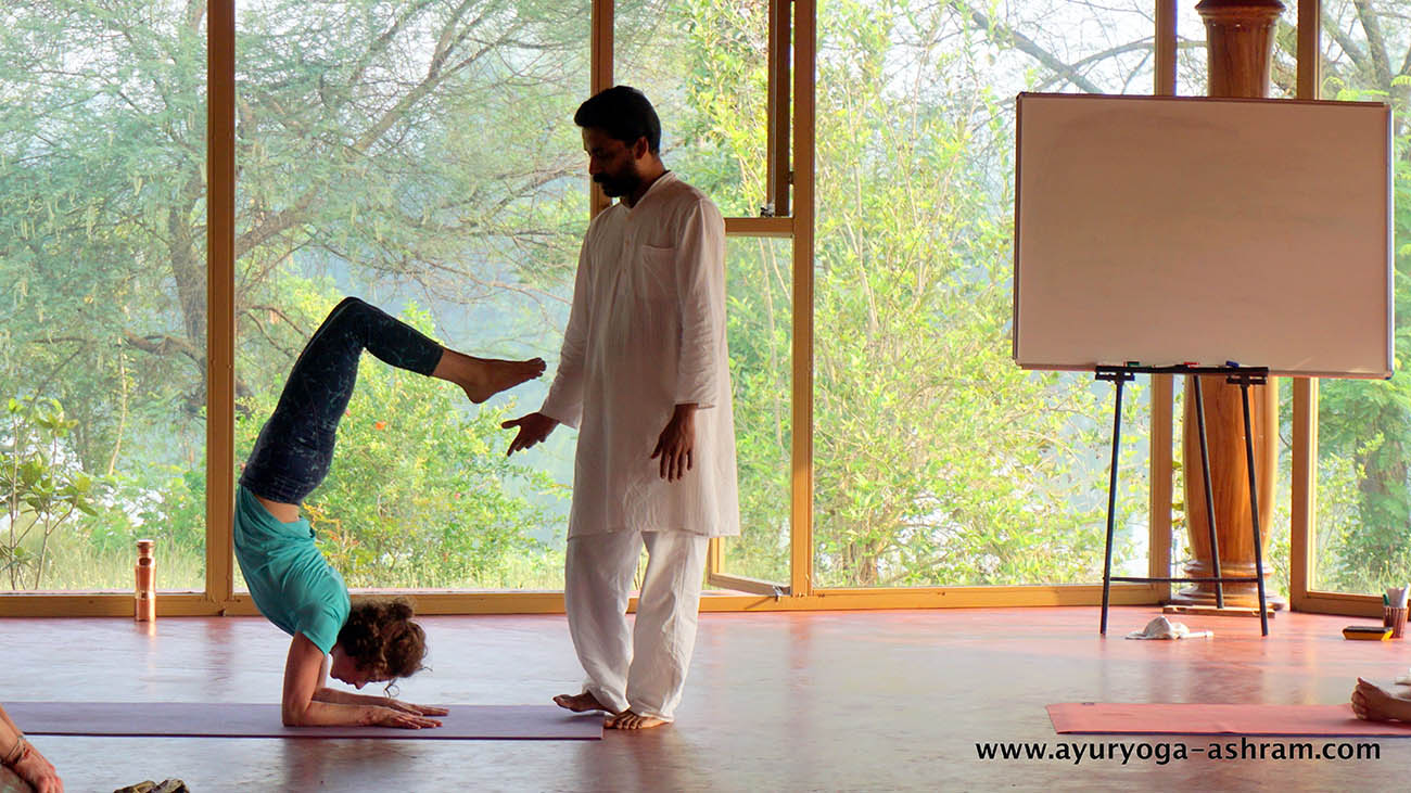14 days yoga immersion retreat for beginners at ayuryoga yoga & ayurveda retreat mysore india0000915301798801534972953.jpg