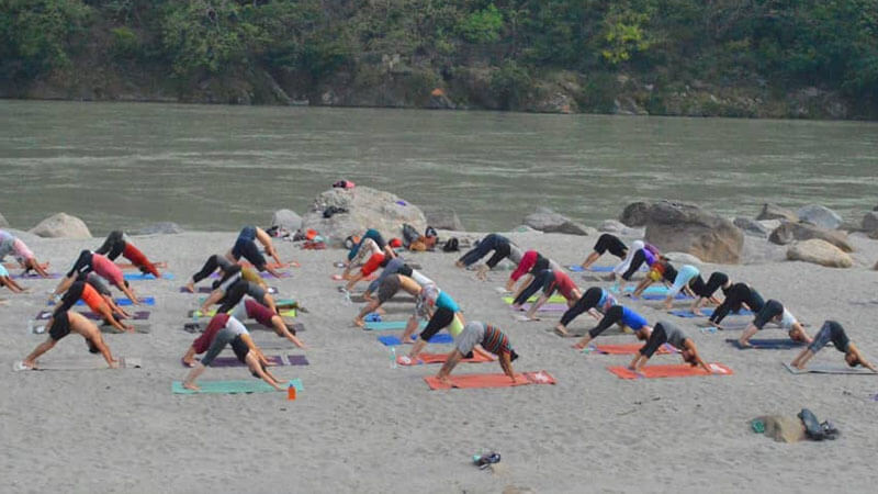 300 hour yoga teacher training at abhayaranya rishikesh yoga village141537035369.jpg