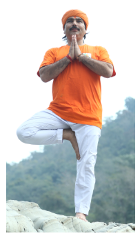 vedansha institute of vedic science rishikesh, india (5)1543059448.png