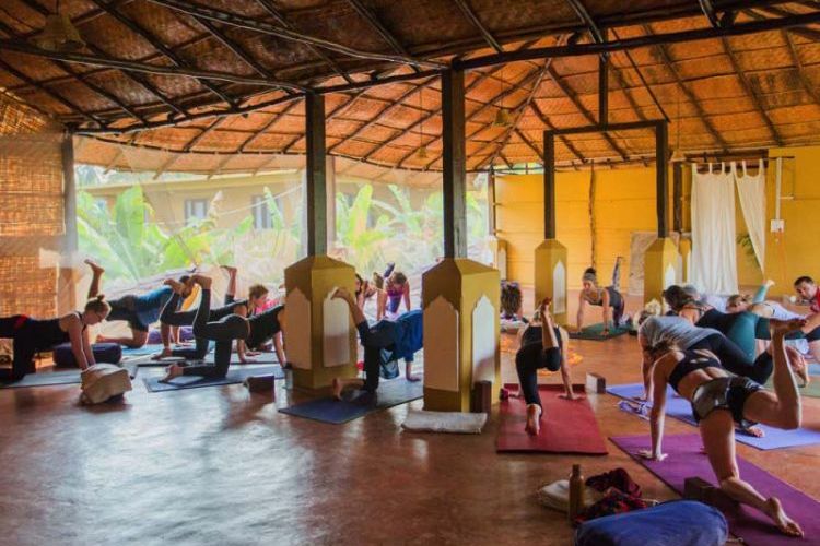 200 hrs hatha & vinyasa yoga teacher training goa, india (56)1570182701.jpg