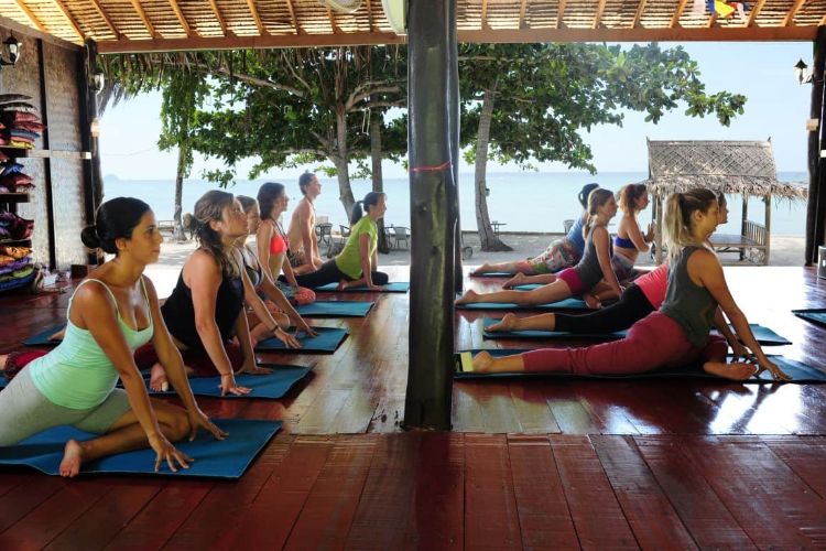 50 hrs aerial yoga teacher training ko phangan, thailand (21)1572003635.jpg