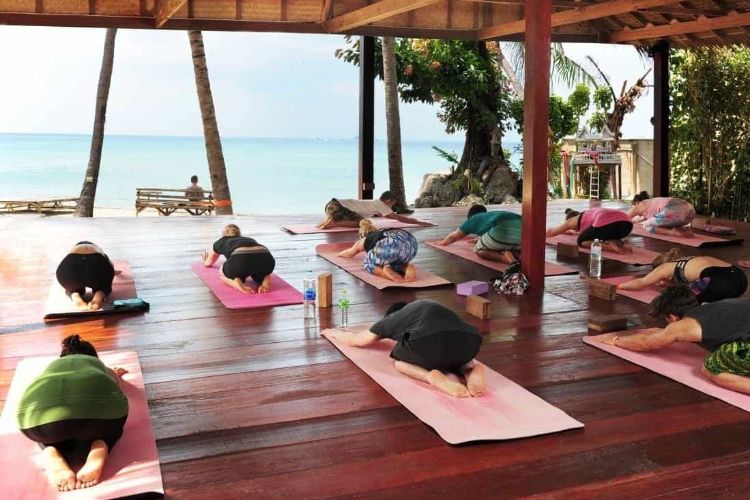 50 hrs aerial yoga teacher training ko phangan, thailand (25)1572003643.jpg