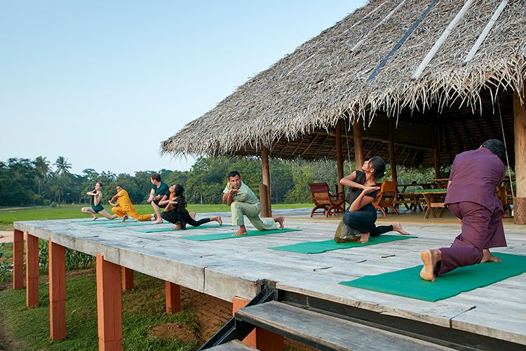 20 nights sanshamana yoga and wellness retreat in sigiriya, sri lanka banner image1574842659.jpg