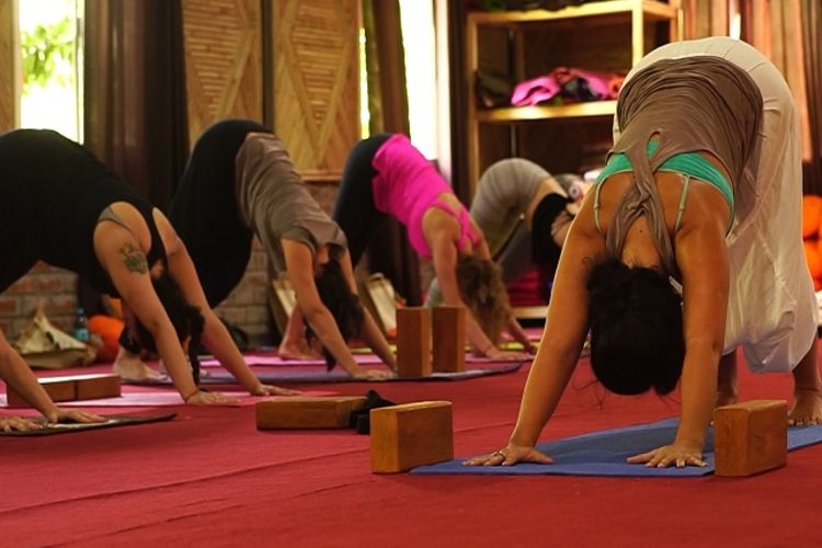 100 hours yoga teacher training course at world peace yoga school rishikesh, india101575280749.jpg