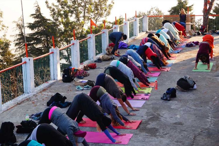 100 hours yoga teacher training course at world peace yoga school rishikesh, india21575280746.jpeg