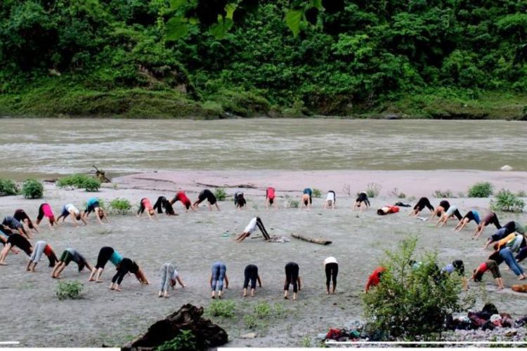 100 hrs yoga teacher training rishikesh, india1011580113423.jpg