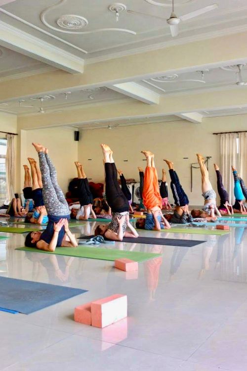 100 hrs yoga teacher training rishikesh, india411580113415.jpg