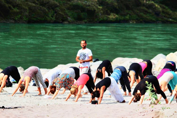 200 hrs yoga teacher training rishikesh, india871580114662.jpg