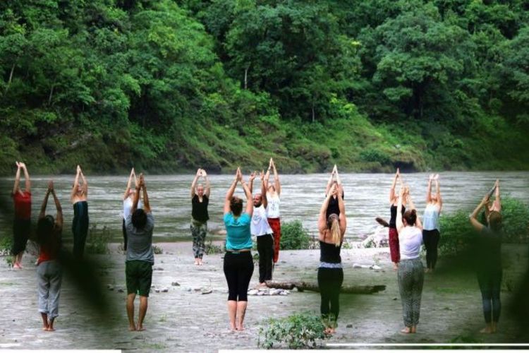 200 hrs yoga teacher training rishikesh, india91580114651.jpg