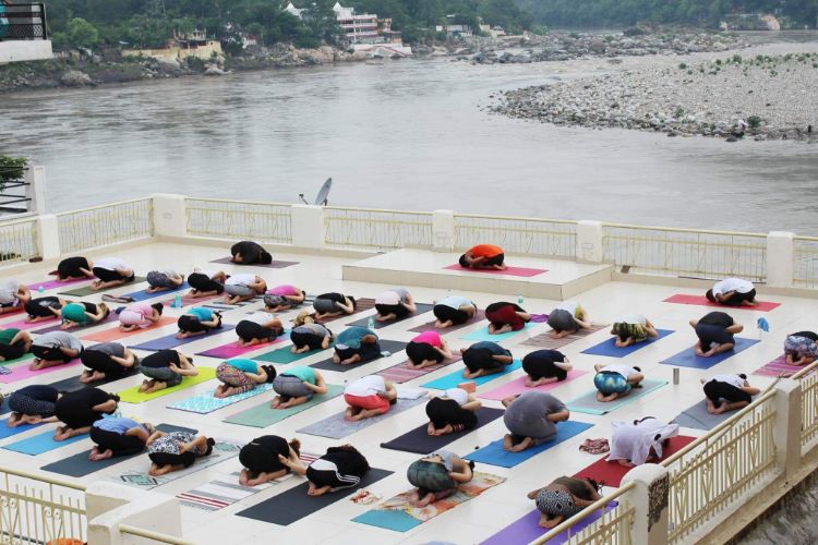 300 hrs yoga teacher training rishikesh, india941580115806.jpg