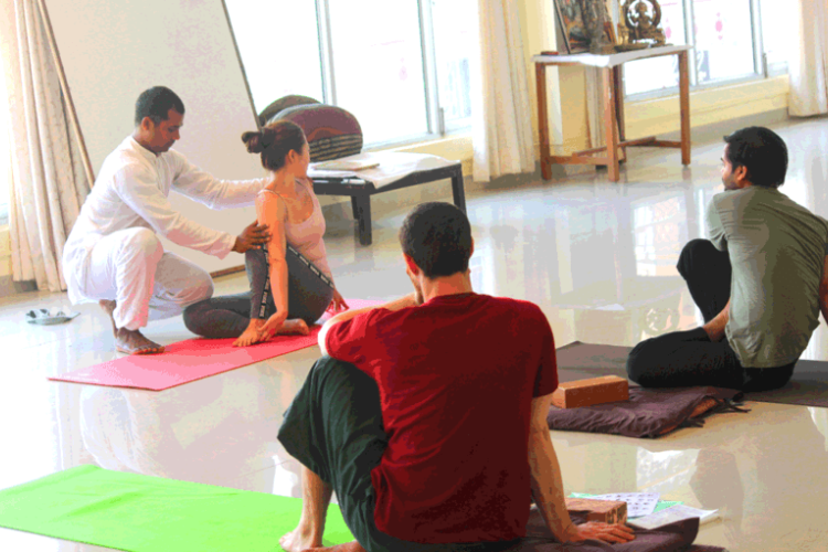 50 hrs yoga teacher training rishikesh, india1031580110737.png