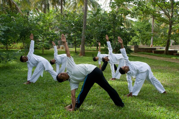 shreyas yoga retreat bangalore281646033787.jpg
