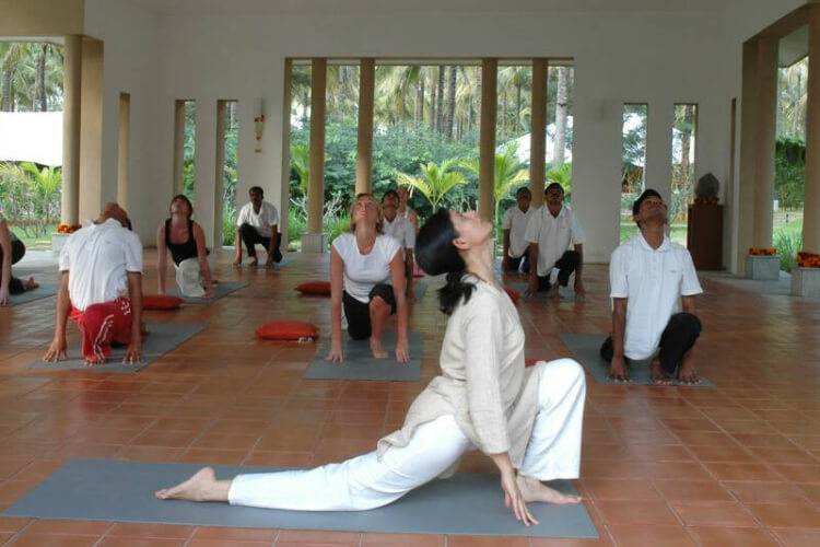 shreyas yoga retreat bangalore291647339465.jpg