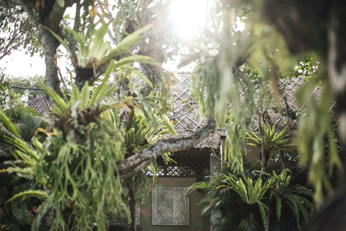 8 Day Luxurious Wellness Retreat for Couples in Beautiful Bali by The Place Retreats18.webp