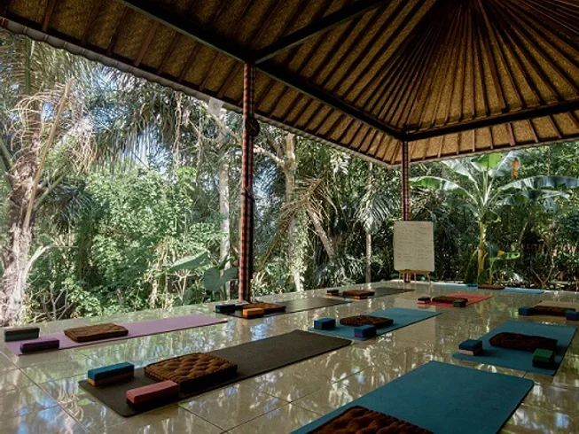 21 Day 200-Hour Ashtanga Vinyasa Yoga Teacher Training in Bali by Rishikesh Vinyasa Yoga School5.webp