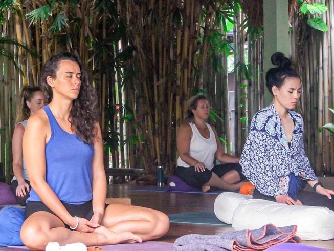 25 Day 200 Hour Aerial and Vinyasa Yoga Teacher Training in Bali by Yoga Dunia Lembongan20.webp
