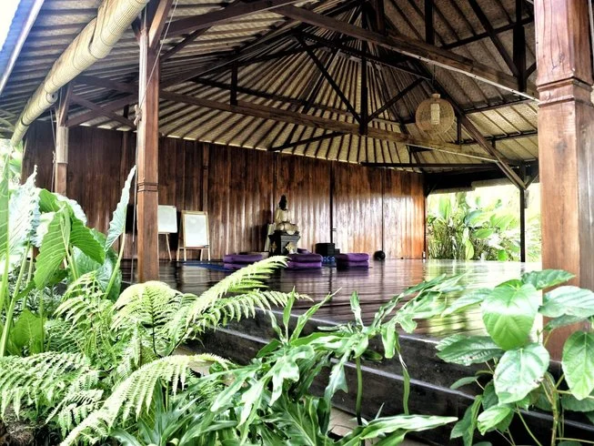 7 Day 50-Hour Yin Yoga Teacher Training in Ubud Bali by Yogaunion21.webp