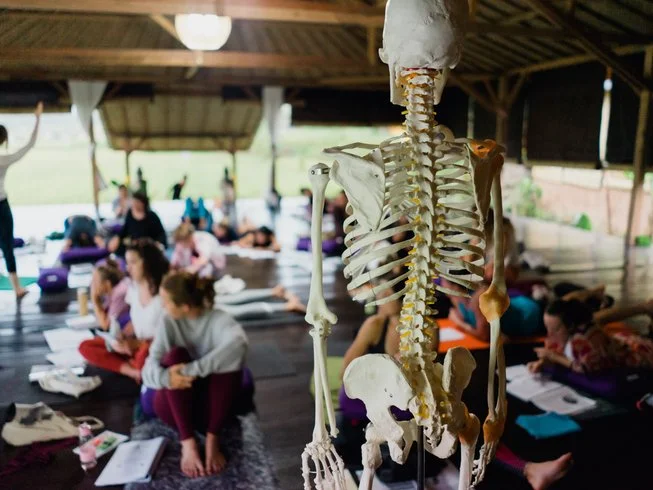 7 Day 50-Hour Yin Yoga Teacher Training in Ubud Bali by Yogaunion3.webp