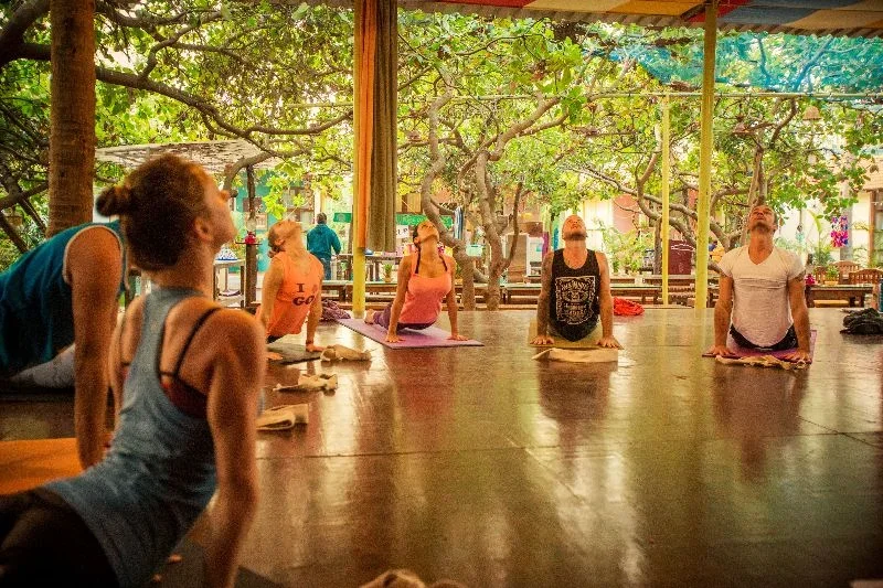 100 Hours Yin Yoga Teacher Training Course by Kranti Yoga School Goa, India21.webp