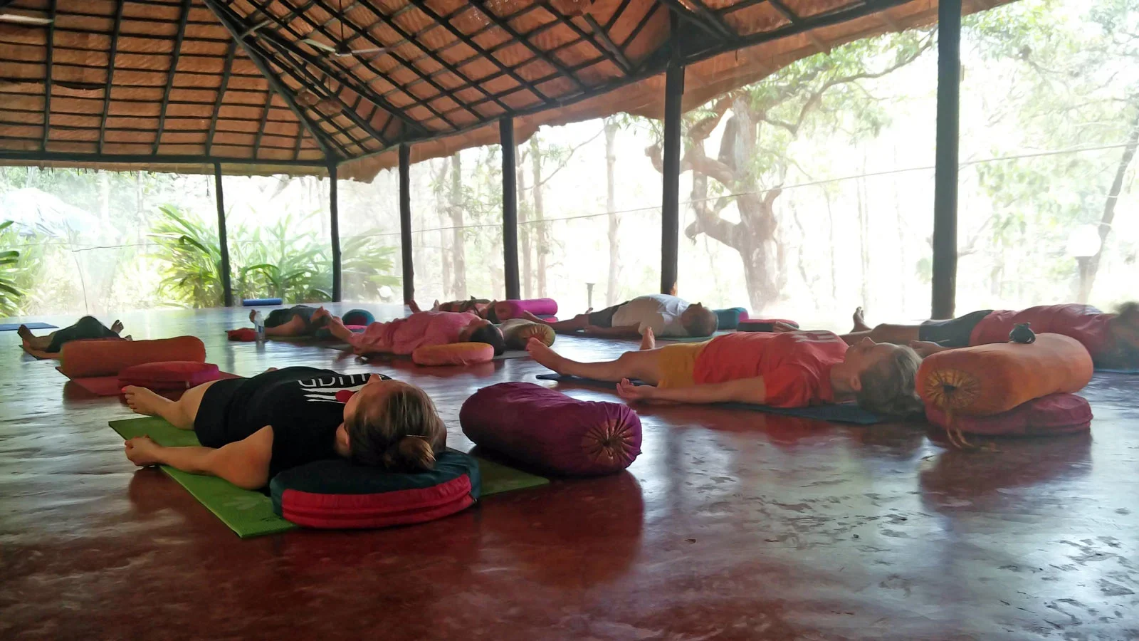 100 Hours Yoga Teacher Training Course by SWAN Yoga Retreat Goa, India9.webp