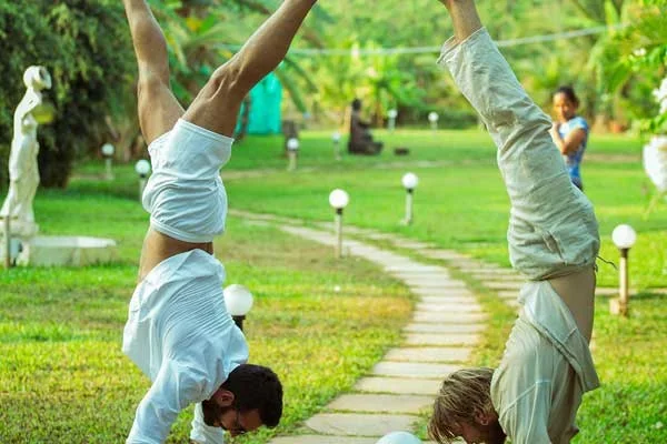 100 Hours Aerial & Yin Yoga Teacher Training Course by Kashish Yoga Goa, India19.webp