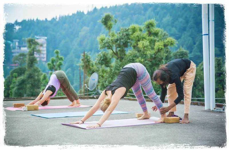 100 Hours Yoga Teacher Training Course by Shree Hari Yoga School Goa, India9.webp