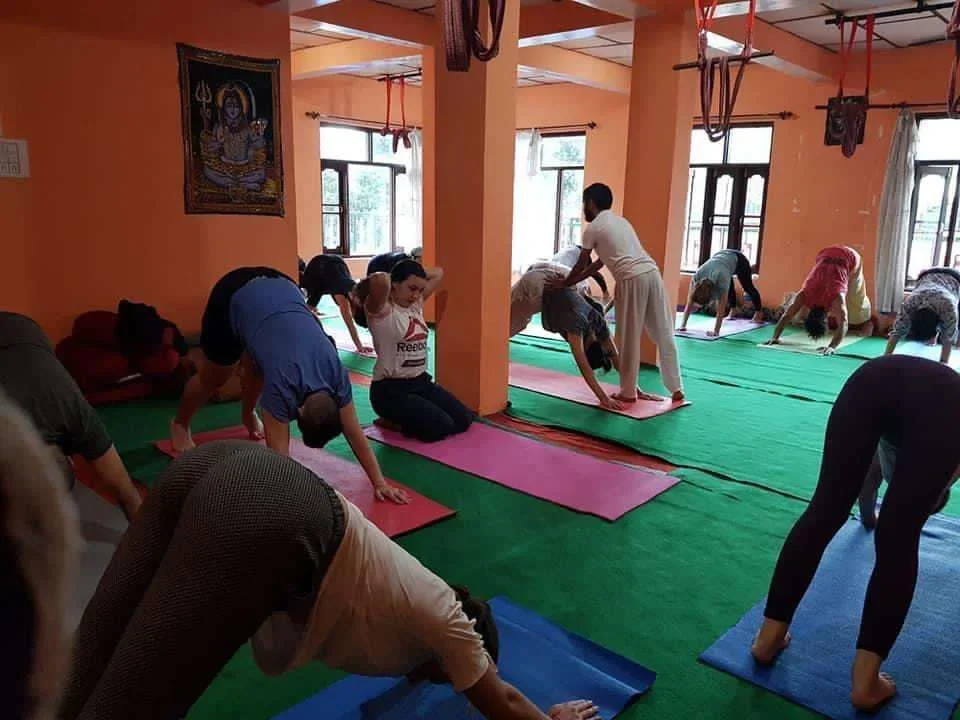 100 Hours Yoga Teacher Training Course by Yoga With Raj Goa, India13.webp