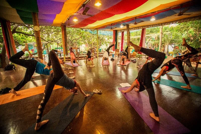200 Hours Hatha & Vinyasa Yoga Teacher Training Course  by Kranti Yoga School Goa, India2.webp