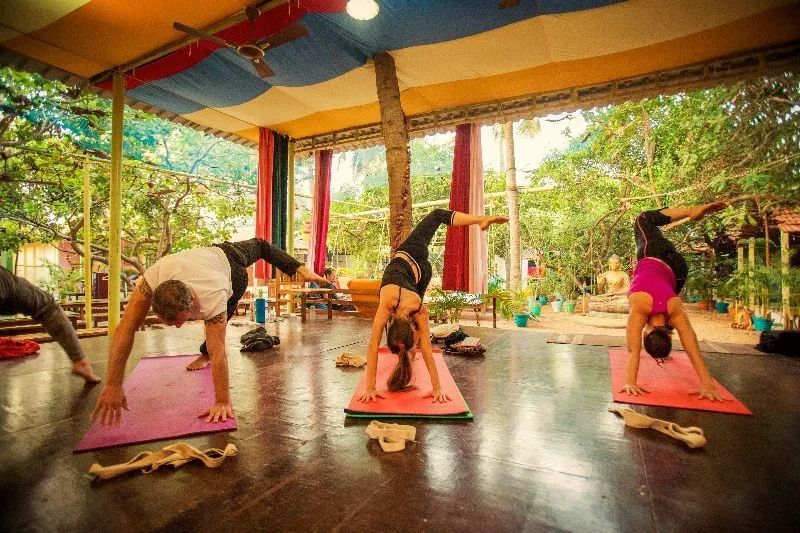 200 Hours Hatha & Vinyasa Yoga Teacher Training Course  by Kranti Yoga School Goa, India20.webp