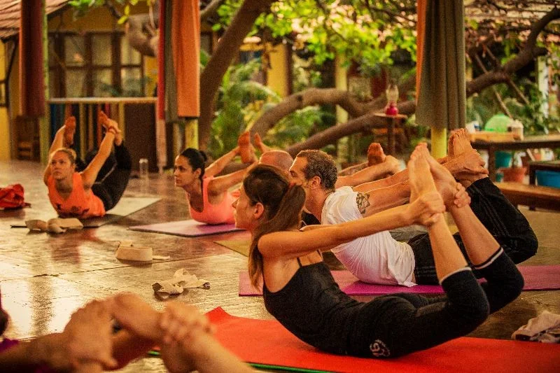 200 Hours Hatha & Vinyasa Yoga Teacher Training Course  by Kranti Yoga School Goa, India7.webp