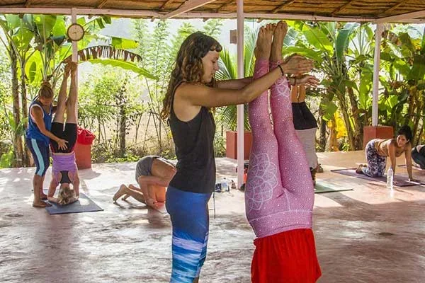200 Hours Multi-Style Yoga Teacher Training Course by Kashish Yoga Goa, India3.webp