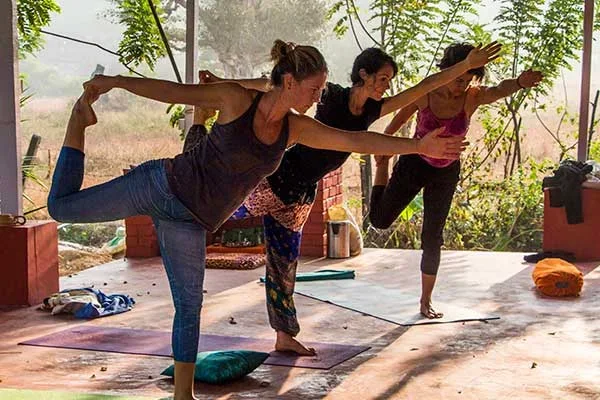200 Hours Multi-Style Yoga Teacher Training Course by Kashish Yoga Goa, India8.webp