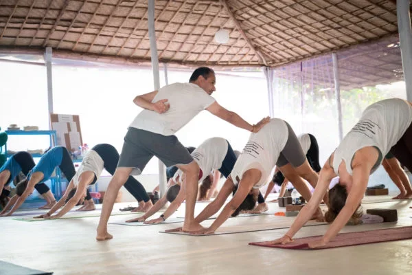 200 Hours Yoga Teacher Training Course by Himalaya Yoga Valley Goa, India10.webp