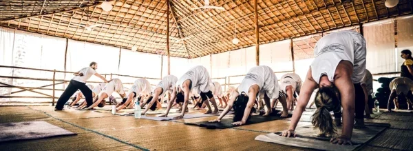 200 Hours Yoga Teacher Training Course by Himalaya Yoga Valley Goa, India5.webp