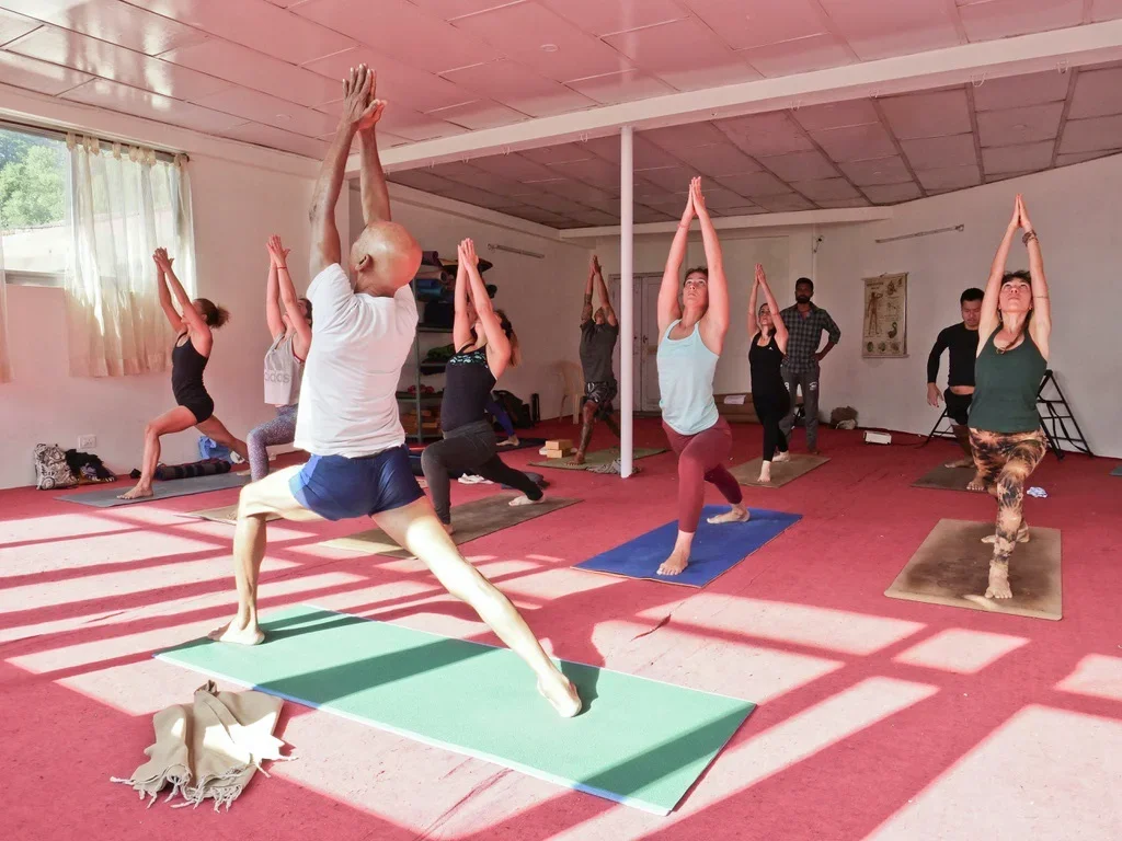 200 Hours Yoga Teacher Training Course by Universal Yoga Center Goa, India11.webp